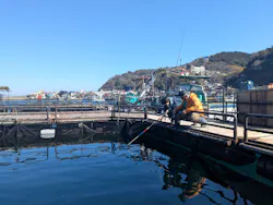 海上釣り 堀太公望に投稿された画像(2026/2/23)