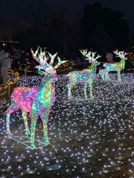 東武動物公園に投稿された画像(2026/2/23)