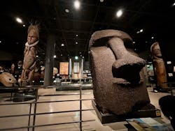 国立民族学博物館に投稿された画像(2026/2/23)