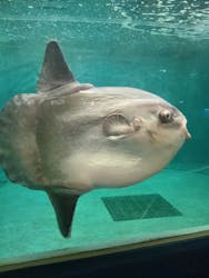 鴨川シーワールドに投稿された画像(2026/2/23)