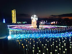 マザー牧場に投稿された画像(2026/2/23)