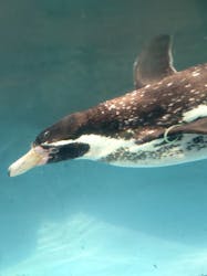 東武動物公園に投稿された画像(2026/2/24)