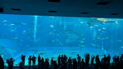 沖縄美ら海水族館に投稿された画像(2026/2/24)