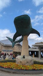 沖縄美ら海水族館に投稿された画像(2026/2/24)