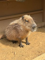 横浜・八景島シーパラダイスに投稿された画像(2026/2/24)