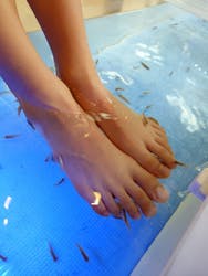 永山健康ランド 竹取の湯に投稿された画像(2026/2/23)