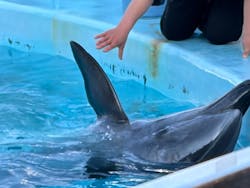 名古屋港水族館に投稿された画像(2026/2/25)