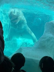 恩賜上野動物園に投稿された画像(2026/2/25)