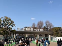 恩賜上野動物園に投稿された画像(2026/2/25)