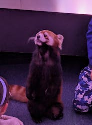 横浜・八景島シーパラダイスに投稿された画像(2026/2/25)