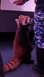 横浜・八景島シーパラダイスに投稿された画像(2026/2/25)