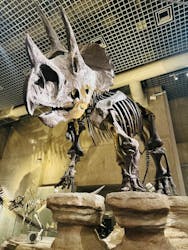 国立科学博物館に投稿された画像(2026/2/26)