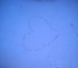 沖縄マリンサービスTI.OCEANに投稿された画像(2026/2/26)