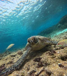 マーレ宮古島に投稿された画像(2026/2/26)