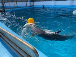横浜・八景島シーパラダイスに投稿された画像(2026/2/26)