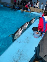 横浜・八景島シーパラダイスに投稿された画像(2026/2/26)