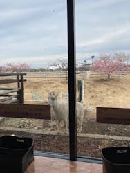 熊谷天然温泉 花湯スパリゾートに投稿された画像(2026/2/27)