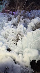 マクセル アクアパーク品川に投稿された画像(2026/2/27)