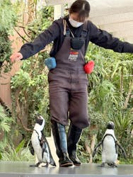 マクセル アクアパーク品川に投稿された画像(2026/2/27)