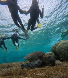 マーレ宮古島に投稿された画像(2026/2/27)