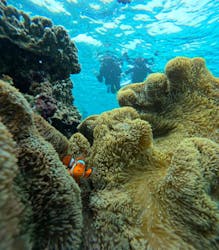 マーレ宮古島に投稿された画像(2026/2/27)