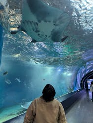 マクセル アクアパーク品川に投稿された画像(2026/2/27)