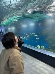 マクセル アクアパーク品川に投稿された画像(2026/2/27)