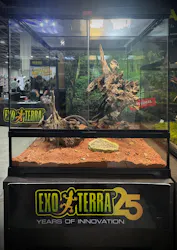 レプタイルズフィーバー 2026 Winter に投稿された画像(2026/2/27)