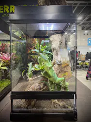 レプタイルズフィーバー 2026 Winter に投稿された画像(2026/2/27)