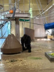 名古屋市東山動植物園に投稿された画像(2026/2/28)