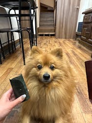 Countless River(カウントレスリバー)に投稿された画像(2026/2/28)