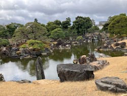 京都市観光協会(催行運営:株式会社らくたび)に投稿された画像(2026/2/28)