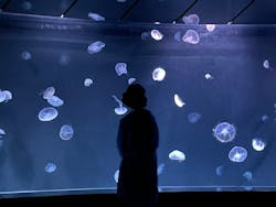 サンシャイン水族館に投稿された画像(2026/2/28)