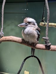 カワスイ 川崎⽔族館に投稿された画像(2026/2/28)