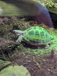 カワスイ 川崎⽔族館に投稿された画像(2026/2/28)