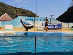 下田海中水族館に投稿された画像(2026/2/28)