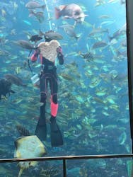 下田海中水族館に投稿された画像(2026/2/28)