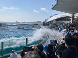 鴨川シーワールドに投稿された画像(2026/2/28)