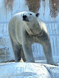 天王寺動物園に投稿された画像(2026/3/1)
