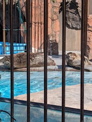 恩賜上野動物園に投稿された画像(2026/3/1)