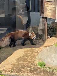 恩賜上野動物園に投稿された画像(2026/3/1)