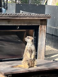 恩賜上野動物園に投稿された画像(2026/3/1)