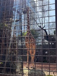 恩賜上野動物園に投稿された画像(2026/3/1)