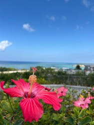 沖縄美ら海水族館に投稿された画像(2026/3/1)