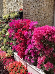 沖縄美ら海水族館に投稿された画像(2026/3/1)