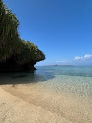 沖縄美ら海水族館に投稿された画像(2026/3/1)