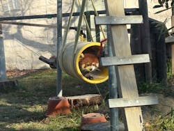 天王寺動物園に投稿された画像(2026/3/1)