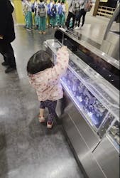 京都鉄道博物館に投稿された画像(2026/3/1)