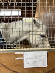 ノーザンホースパークに投稿された画像(2026/3/1)