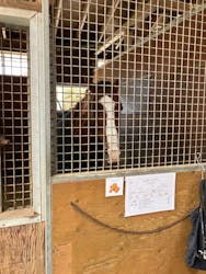 ノーザンホースパークに投稿された画像(2026/3/1)